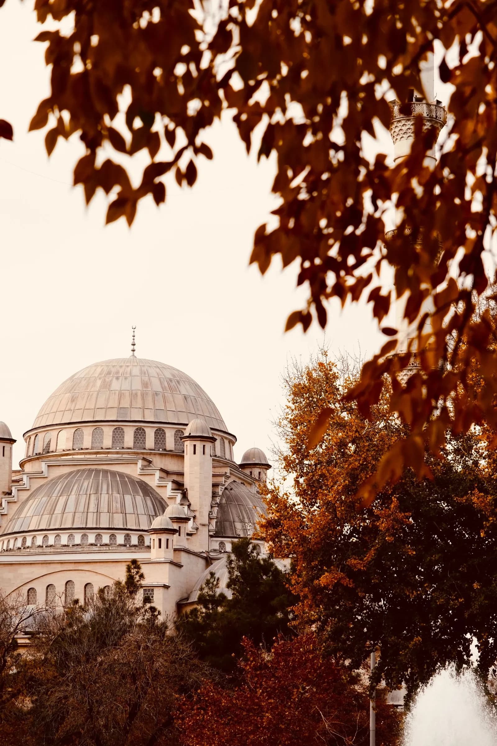 The domes of an Istanbul mosque behind red autumn leaves