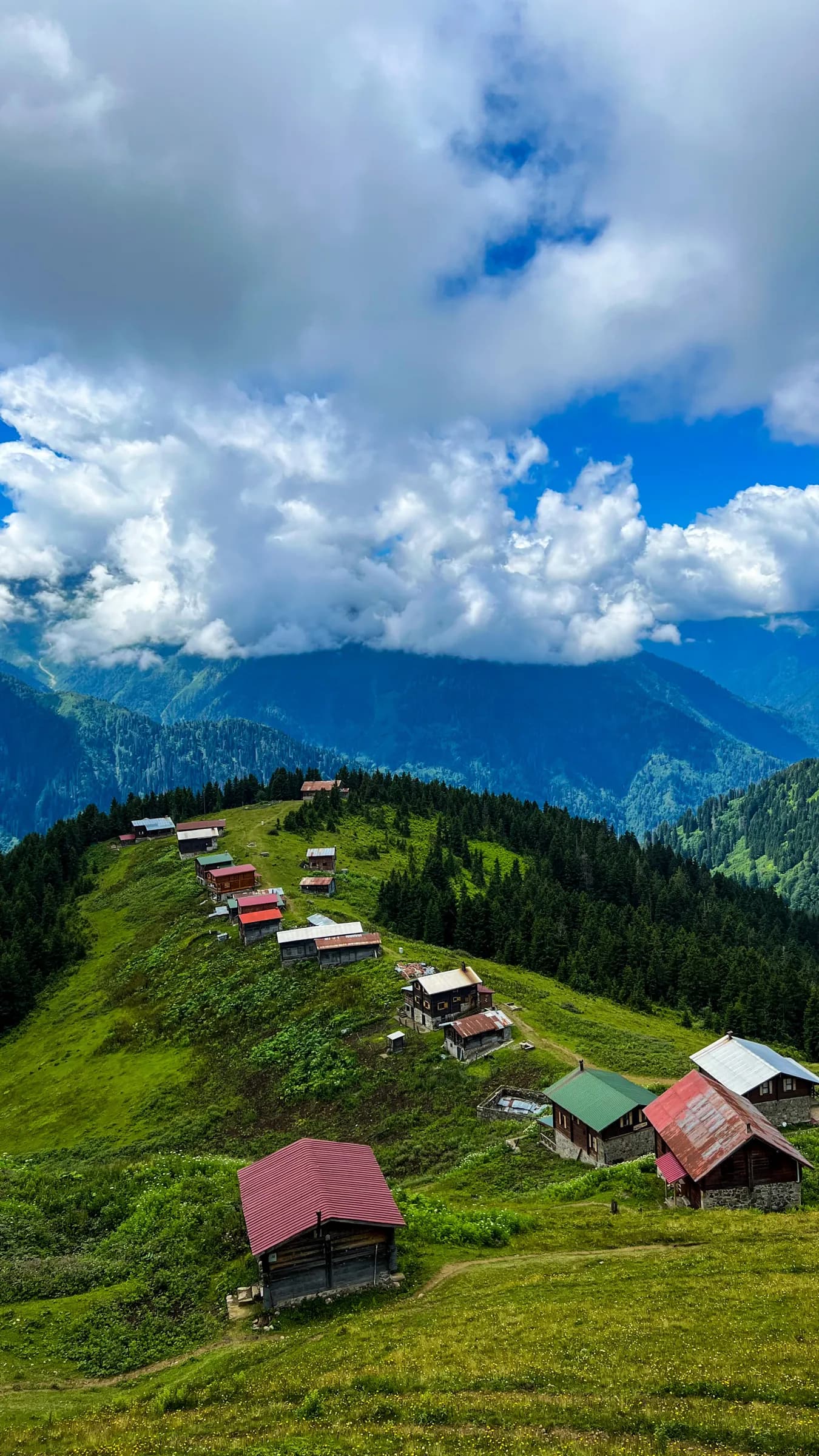 Wooden houses on the Pokut plateau above the clouds in Rize
